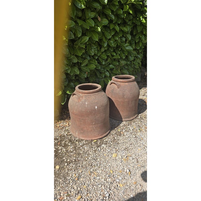 Large Victorian Rhubarb Forcers, 1880, Set of 2 For Sale - Image 4 of 5