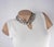 Contemporary Kenzo Paris Silver Plate Floral Choker Necklace For Sale - Image 3 of 10