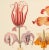 2020s 13" X 9" 'Garden Flowers' Botanical Print, 'Hortus Floridus' Style, Unframed For Sale - Image 5 of 6