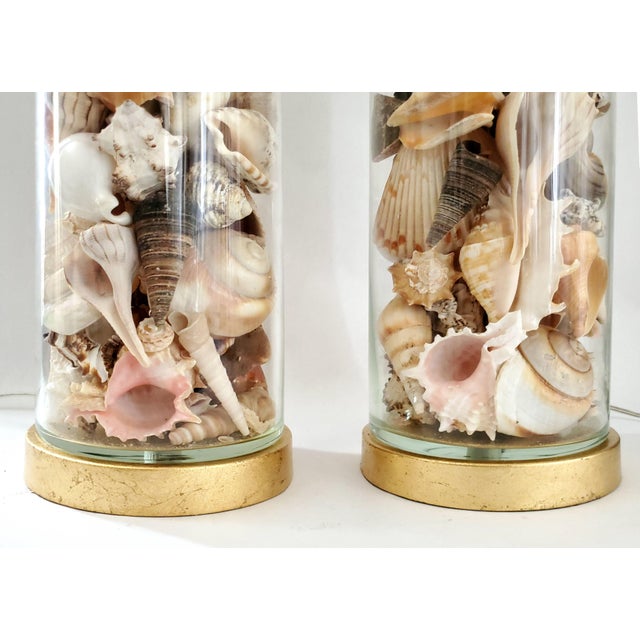 Christopher Spitzmiller, Inc Lamp Pair Seashells Shells Restored Extra Large Size For Sale - Image 4 of 10