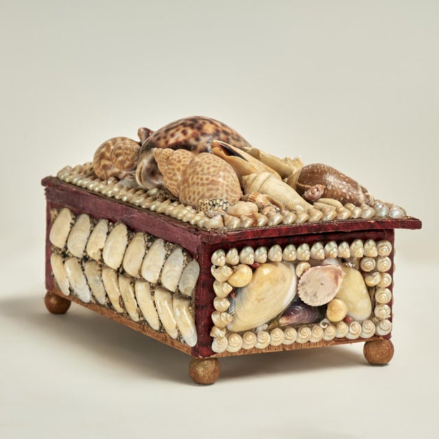 Antique British Colonial Seashell Encrusted Jewelry Box For Sale In West Palm - Image 6 of 12
