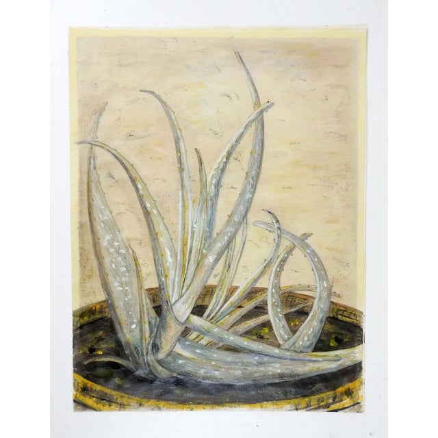 Vintage mid 20th century mixed media painting of aloe plant by Mary Reid (20th century) Texas. Faintly signed lower right....