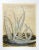 Vintage mid 20th century mixed media painting of aloe plant by Mary Reid (20th century) Texas. Faintly signed lower right....