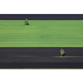 Klaus Leidorf, Stripes - Aerial Color Photography, 2014 For Sale