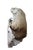 Early 21st Century Kevin Peters "Get Your Own Starfish" Brazilian Soapstone Sea Otter Sculpture For Sale - Image 5 of 13