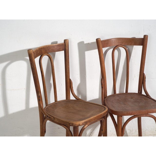 Antique Bentwood Chairs, Central Europe, 1900s, Set of 6 For Sale - Image 15 of 16