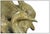 1990s Tundra Swans, Sherry Salari Sander For Sale - Image 4 of 5