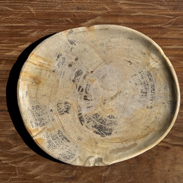 Oval Petrified Wood Trinket Tray with Grey Rings, 1980s For Sale - Image 9 of 9