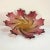 Italian Murano Glass Bowl, 1950s For Sale - Image 4 of 4