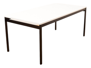 Series II Dining Table with Tubular Steel Frame by Dieter Waeckerlin for Idealheim, 1964