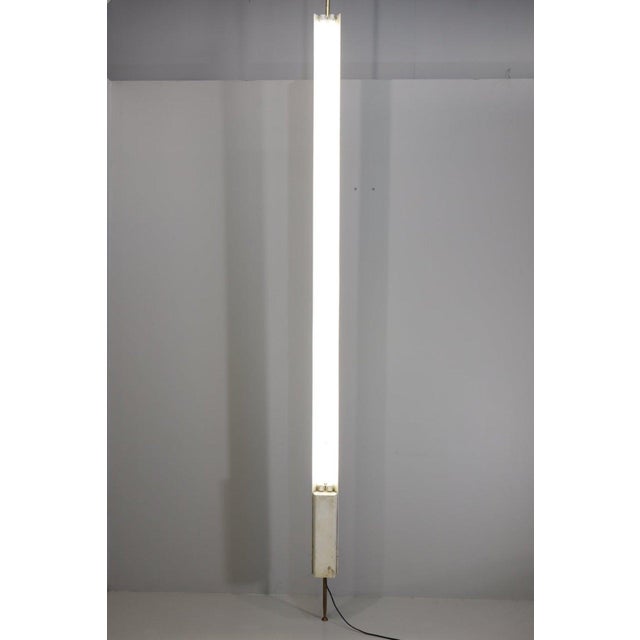 White Model LT8 Floor Lamp by Osvaldo Borsani, 1950 For Sale - Image 8 of 18