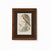19th-Century Framed John Gould Red Kite | Original Antique Bird Print For Sale - Image 12 of 12