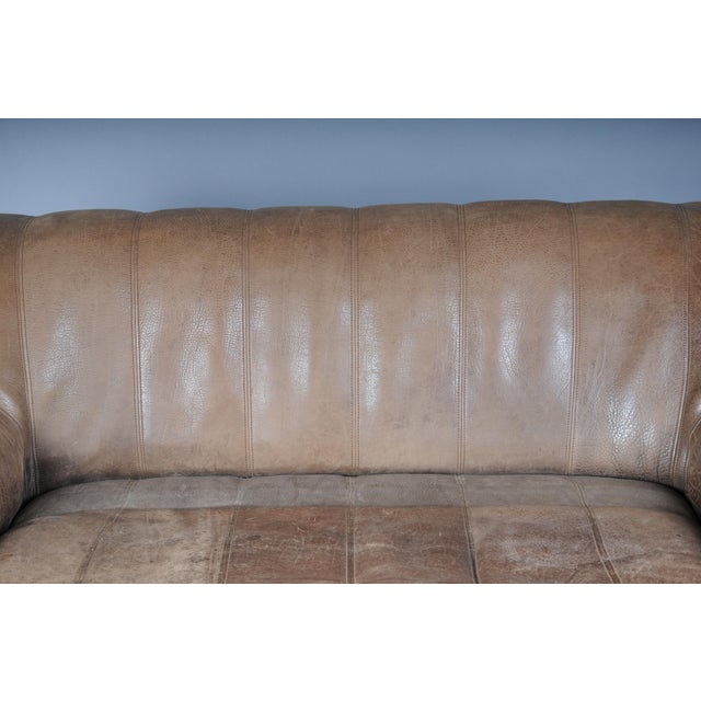 Vintage DS44 Two-Seater Buffalo Leather Sofa from de Sede, 1970s For Sale - Image 3 of 18