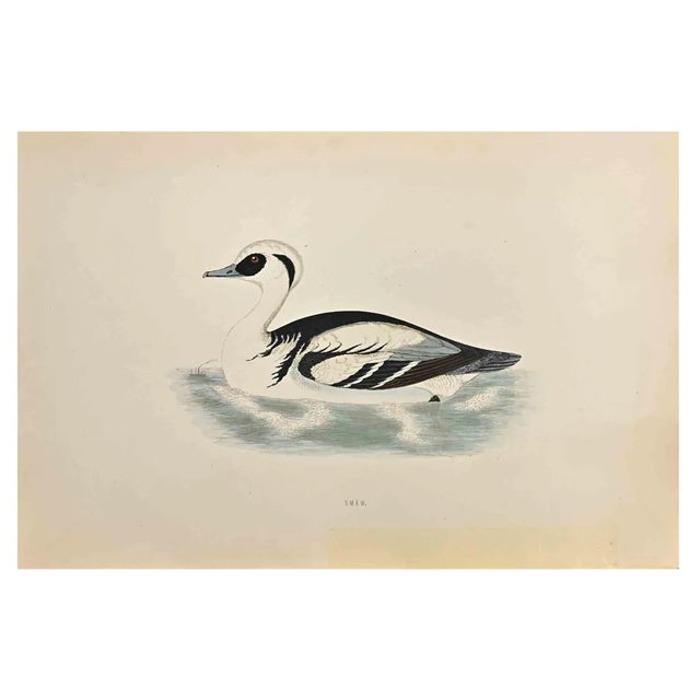 Alexander Francis Lydon, Smew, Woodcut Print, 1870 For Sale