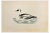 Alexander Francis Lydon, Smew, Woodcut Print, 1870 For Sale