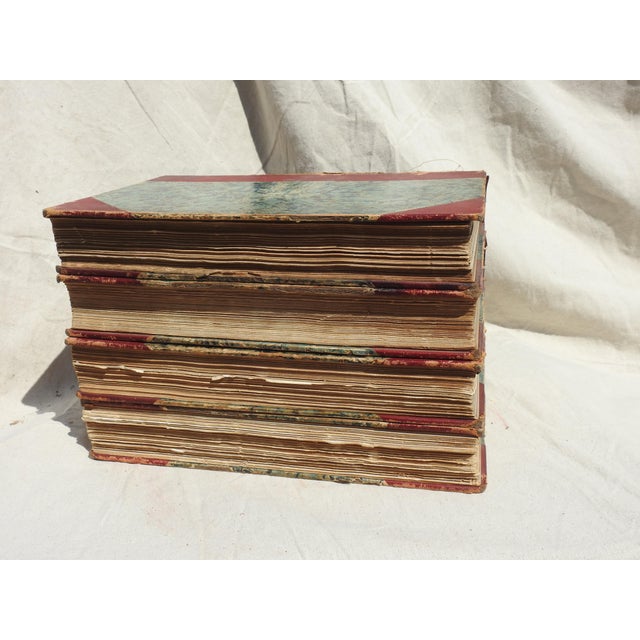 Animal Skin Napoleon a History, Volumes 1-4 For Sale - Image 7 of 9