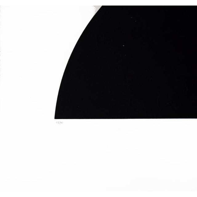 Bianchi e neri ii (acetates) - plate f is a fashionable contemporary artwork, hand-signed in pencil on the lower right...