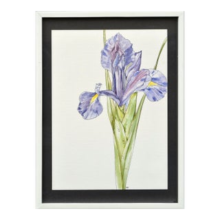 Iris - Watercolor and Ink Floral Study, American Realist, Signed, 1985 by Deborah Eddy For Sale
