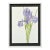 Iris - Watercolor and Ink Floral Study, American Realist, Signed, 1985 by Deborah Eddy For Sale