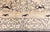 1930s Chinese Botanic Wool Rug Doris Leslie Blau For Sale In New York - Image 6 of 9