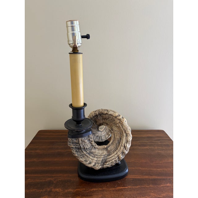 Vintage Ram’s Horn Table Lamp – Rustic English Country House Style Lighting For Sale In South Bend - Image 6 of 10