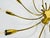 Brass 12-Arm Sputnik Chandelier Arredoluce Attributed, 1950s For Sale - Image 10 of 13