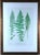 Henry Bradbury Nature-Printed Fern Botanical Prints, Set of Four, Framed For Sale In Philadelphia - Image 6 of 18