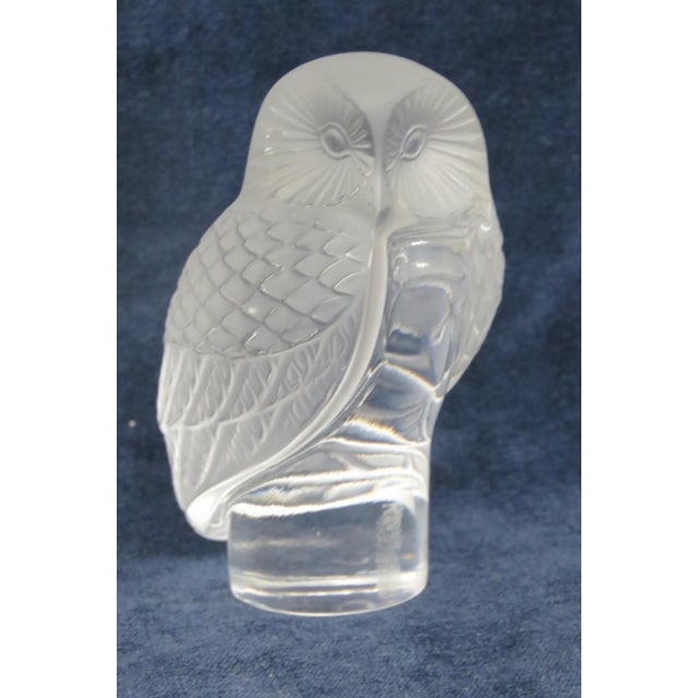 Lalique France Chouette Owl Figurine Frosted and Clear Crystal Paperweight 5198b For Sale - Image 16 of 16