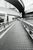 Taco, Monochrome Metropolitan Expressway Route No. 3, Meguro, Tokyo, 2023, Archival Pigment Print For Sale