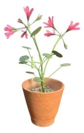 Example of Rustic Decorative Objects