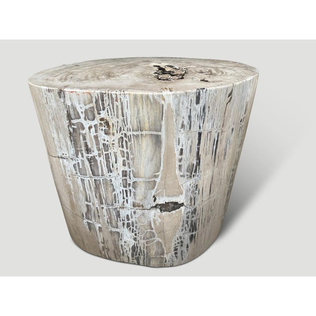 Andrianna Shamaris Exquisite High Quality Petrified Wood Side Table or Pedestal For Sale - Image 17 of 18