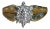 The Crisanto: Ladies Contemporary Two Tone Diamond Cluster Cocktail Ring For Sale