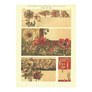 C1900 French Art Nouveau Botanical Lithograph For Sale