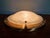 Large Brass and Murano Glass Ceiling Light from Hillebrand Lightning, 1970s For Sale - Image 17 of 18