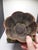 Copper 19th C Repousse Copper Nepal Scallop Bucket For Sale - Image 8 of 15