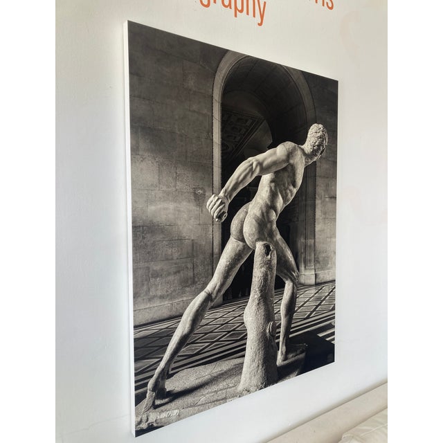 Textile William Gray Harris Photograph on Canvas “ the Borghese Gladiator “ For Sale - Image 7 of 9