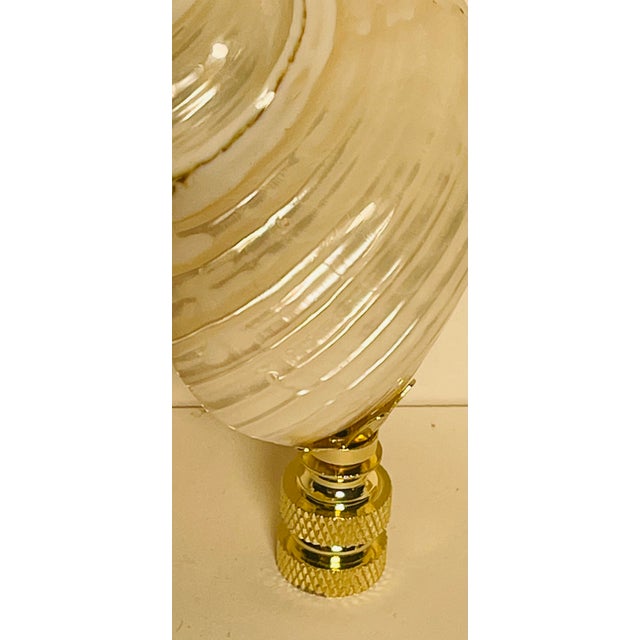 Beautiful pair of mother of pearl turbo sea shells mounted on brass bases as lamp finials.