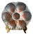 Mid-Century French Oyster Plate with Pink and Grey Shell Relief from Sarreguemines, 1930s For Sale