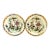 Pair of Early 19th-Century English Ironstone Plates in the Chinese Export Style For Sale