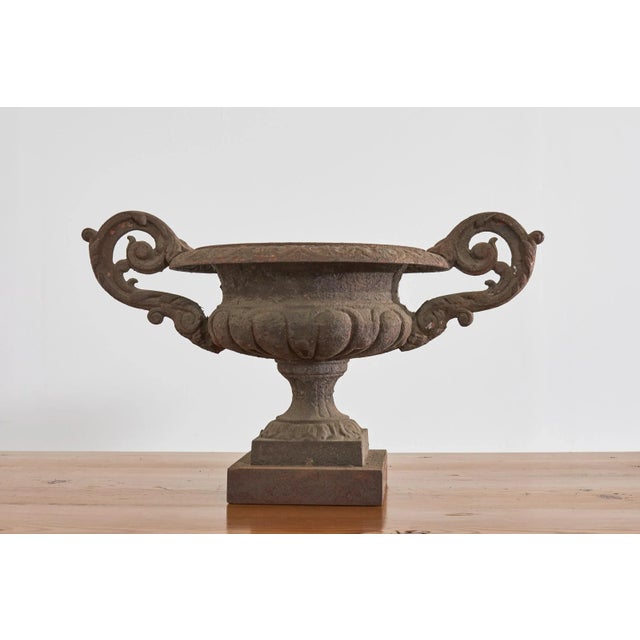 English Pair of Diminutive English Cast Iron Urn Jardinaires For Sale - Image 3 of 13