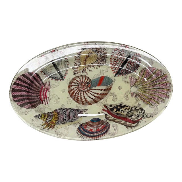 John Derian Signed Nautilus Seashell Decoupage Glass Platter 14” For Sale