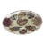 John Derian Signed Nautilus Seashell Decoupage Glass Platter 14” For Sale