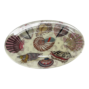 John Derian Signed Nautilus Seashell Decoupage Glass Platter 14”