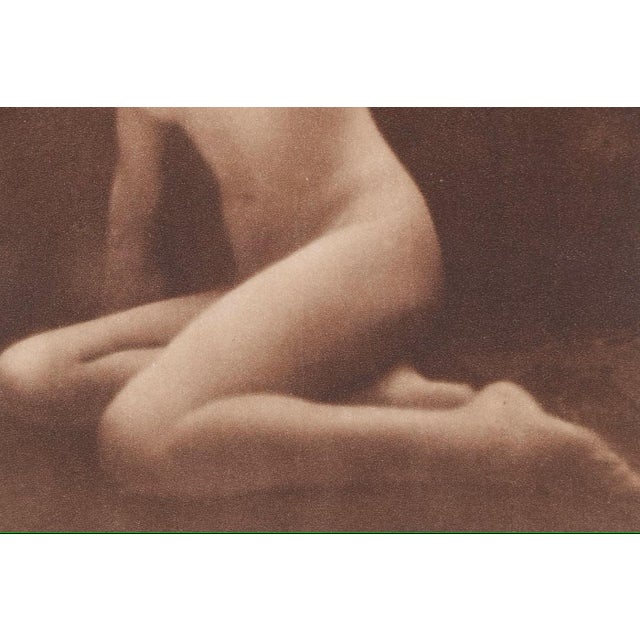 Collection of Three Nude Photogravures From "Woman, Nature and Civilization," 1925 For Sale - Image 10 of 14