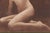 Collection of Three Nude Photogravures From "Woman, Nature and Civilization," 1925 For Sale - Image 10 of 14
