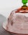 Vintage Glass Cloche Dish with Plate in Pink and Green Glass with Engraved Floral Decor, Italy, 1930s For Sale - Image 4 of 11