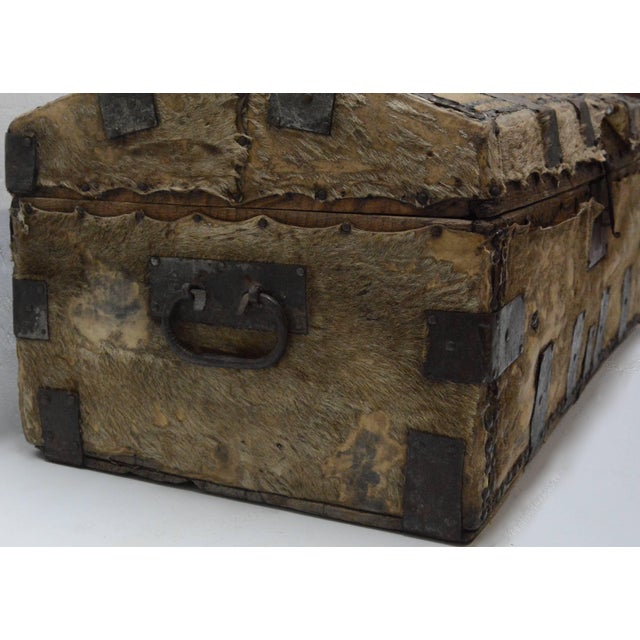 Early 19th Century 19th Century Spanish Colonial Hide Covered Trunk For Sale - Image 5 of 11