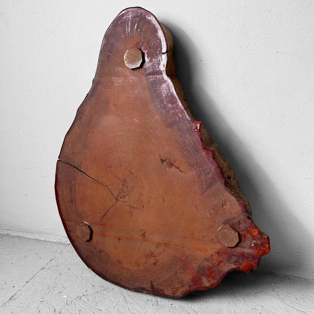 Yakusugi Wood Display, Japan, 1950s For Sale - Image 3 of 14