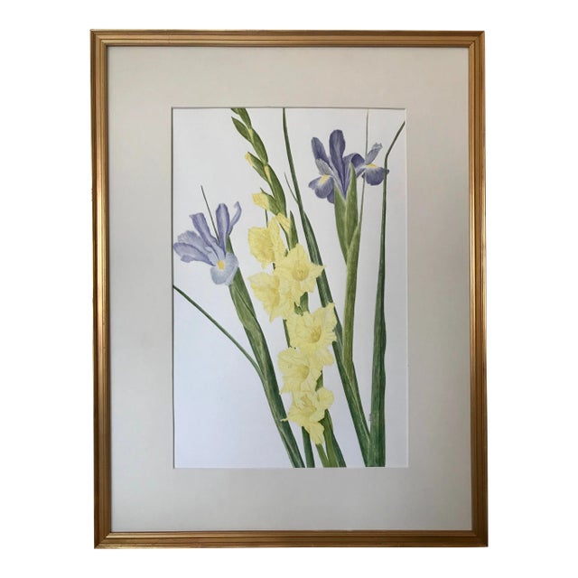 Vintage Original Watercolor Flowers Iris and Gladiolas Janet Delonga For Sale