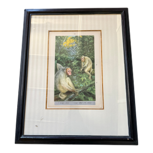 Antique Print of Two Cacajao Calvus Monkey Numbered Print in Color XI
